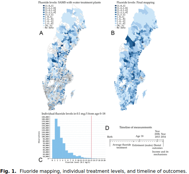 Read more about the article Fluoride, good for your teeth, not bad for your brain