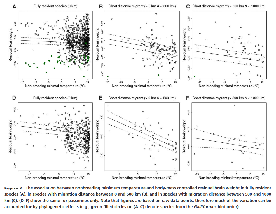 New study: Intelligence and Group Differences in Preference for