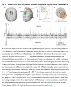 Read more about the article Genomic prediction of faces
