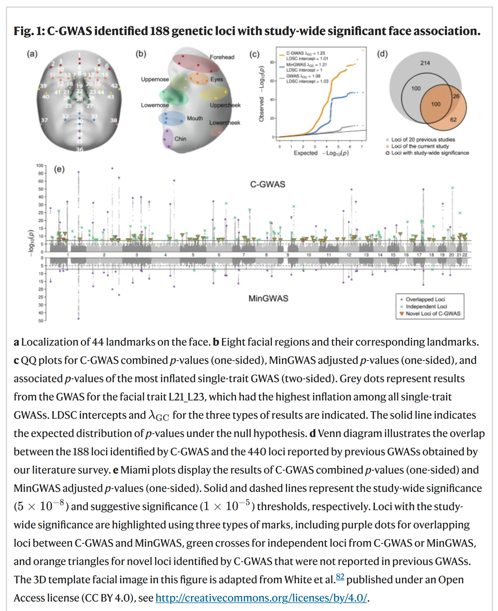 Read more about the article Genomic prediction of faces