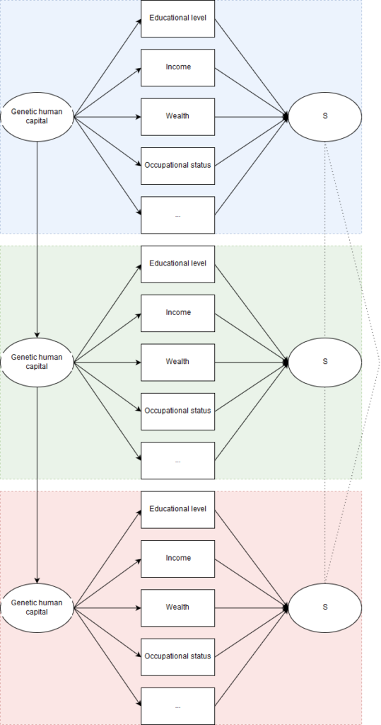 genetic human capital model