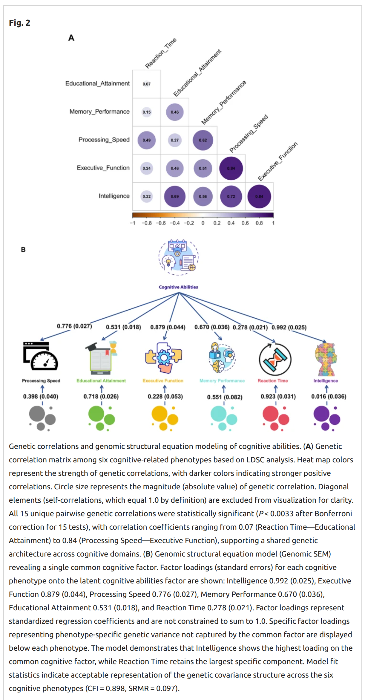 Read more about the article New causal variant estimates for intelligence