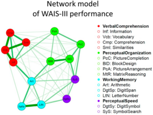 Read more about the article g and its origins: in favor of network psychometrics of intelligence