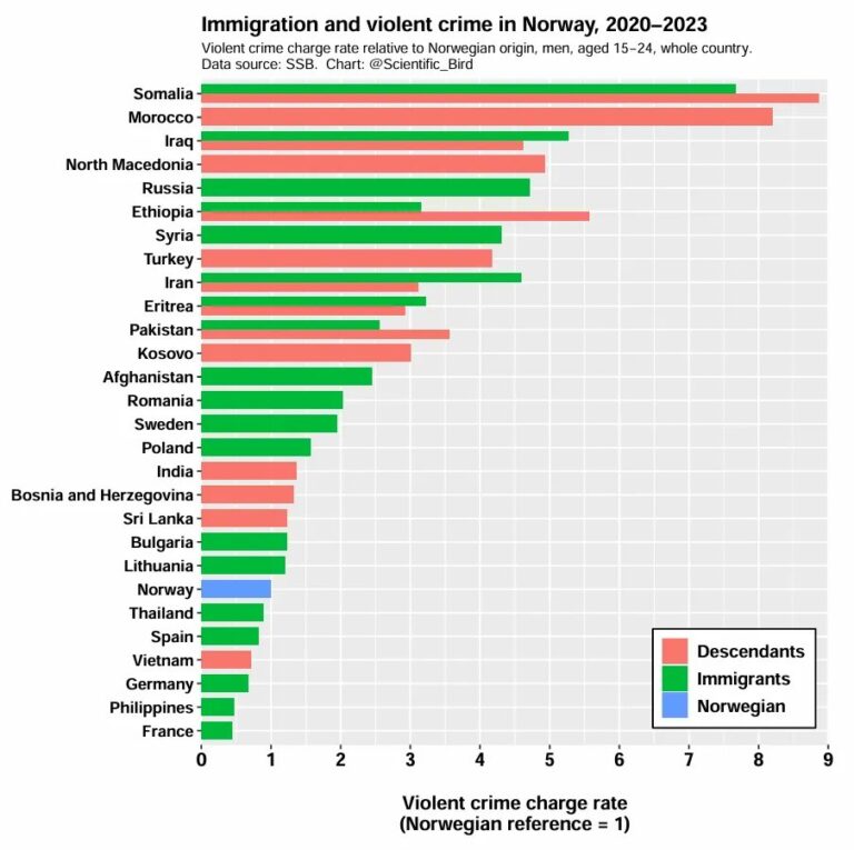 Arabghetto norwegian crime results 768x765