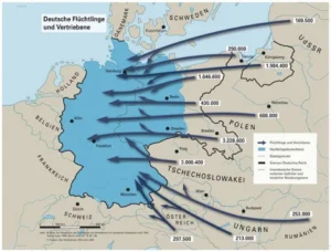Read more about the article Large scale remigration is possible