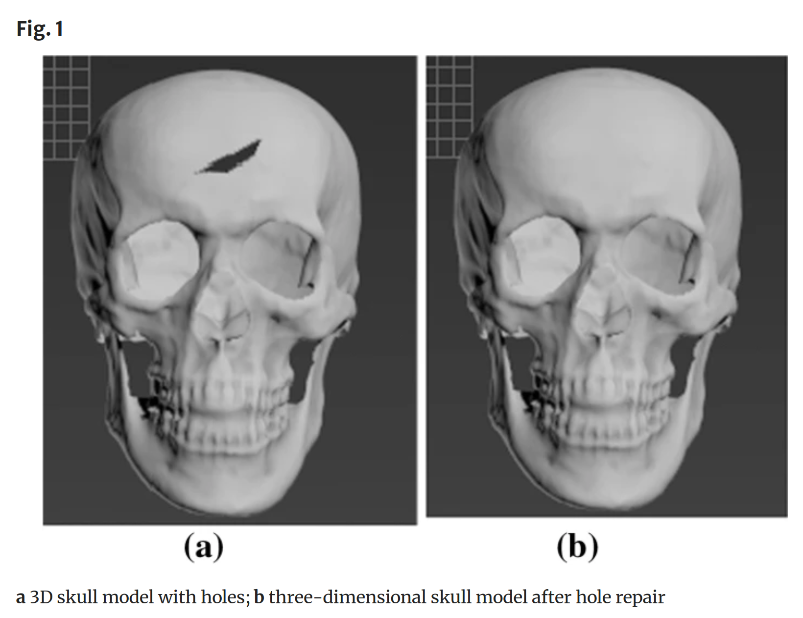 Read more about the article Hispaniolan craniometry