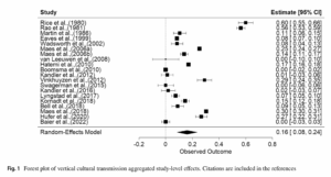 Read more about the article Science vs. ideology on vertical transfers