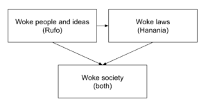 Read more about the article Why woke? What to do about it?