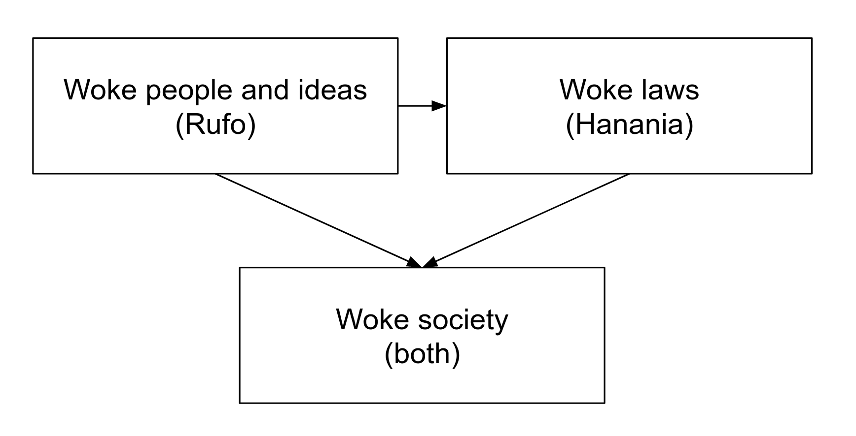 Read more about the article Why woke? What to do about it?